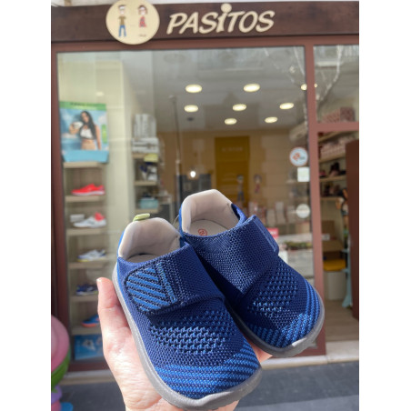 Biomecanics rejilla azul ocean