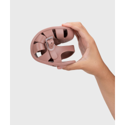 Cangrejera Respetuosa Ura rosa