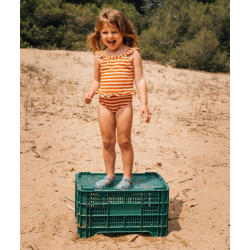 Cangrejera Respetuosa Nemo de Igor Azul